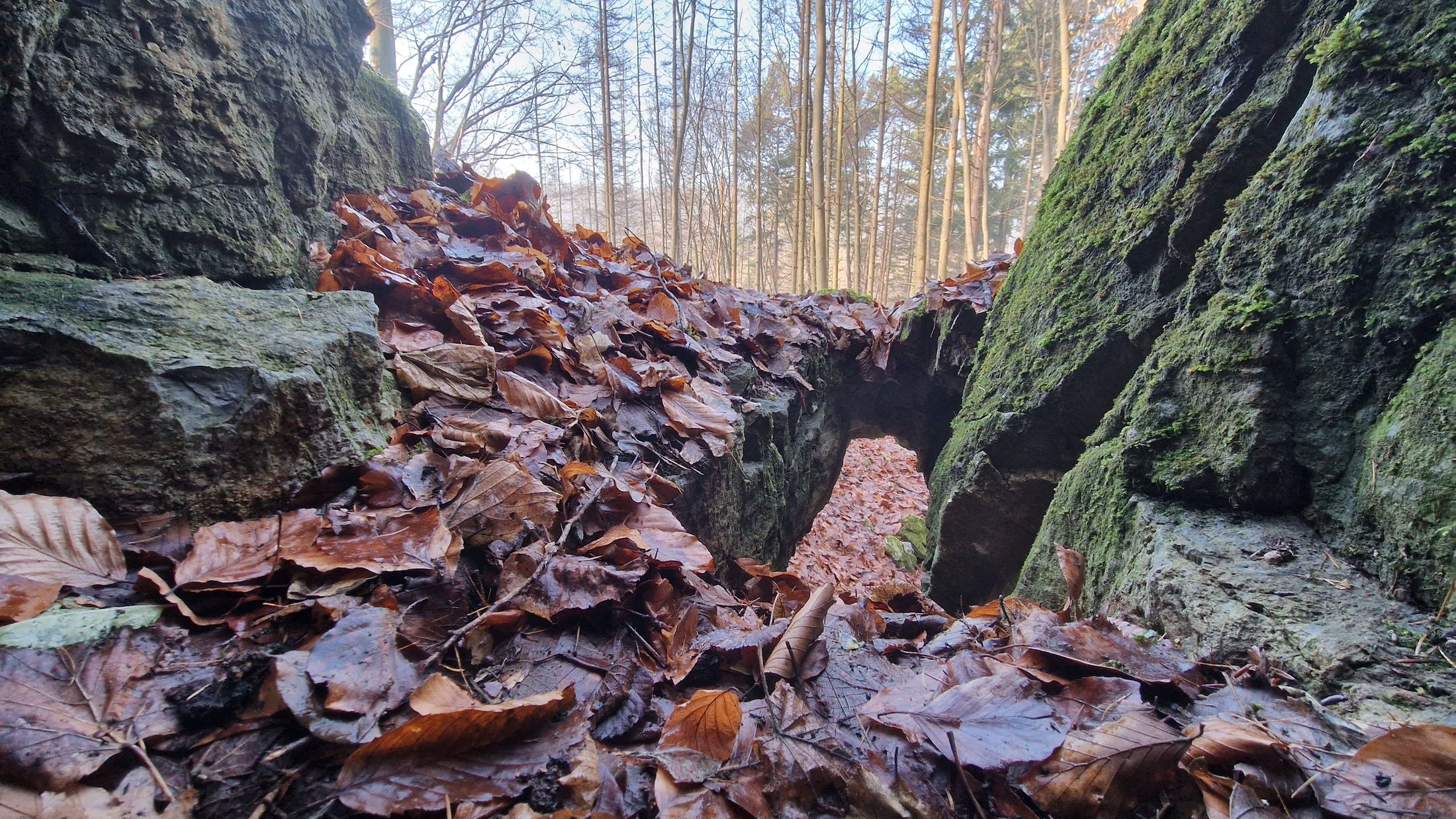 Plší jeskyně - foto 2