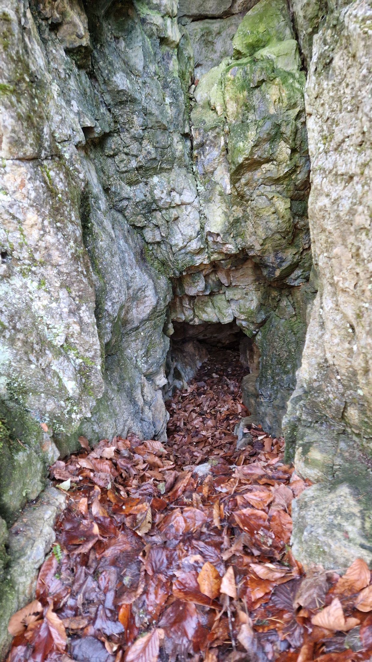 Plší jeskyně - foto 3