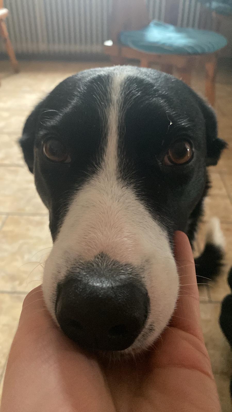 Kuchyna Terka - foto 4